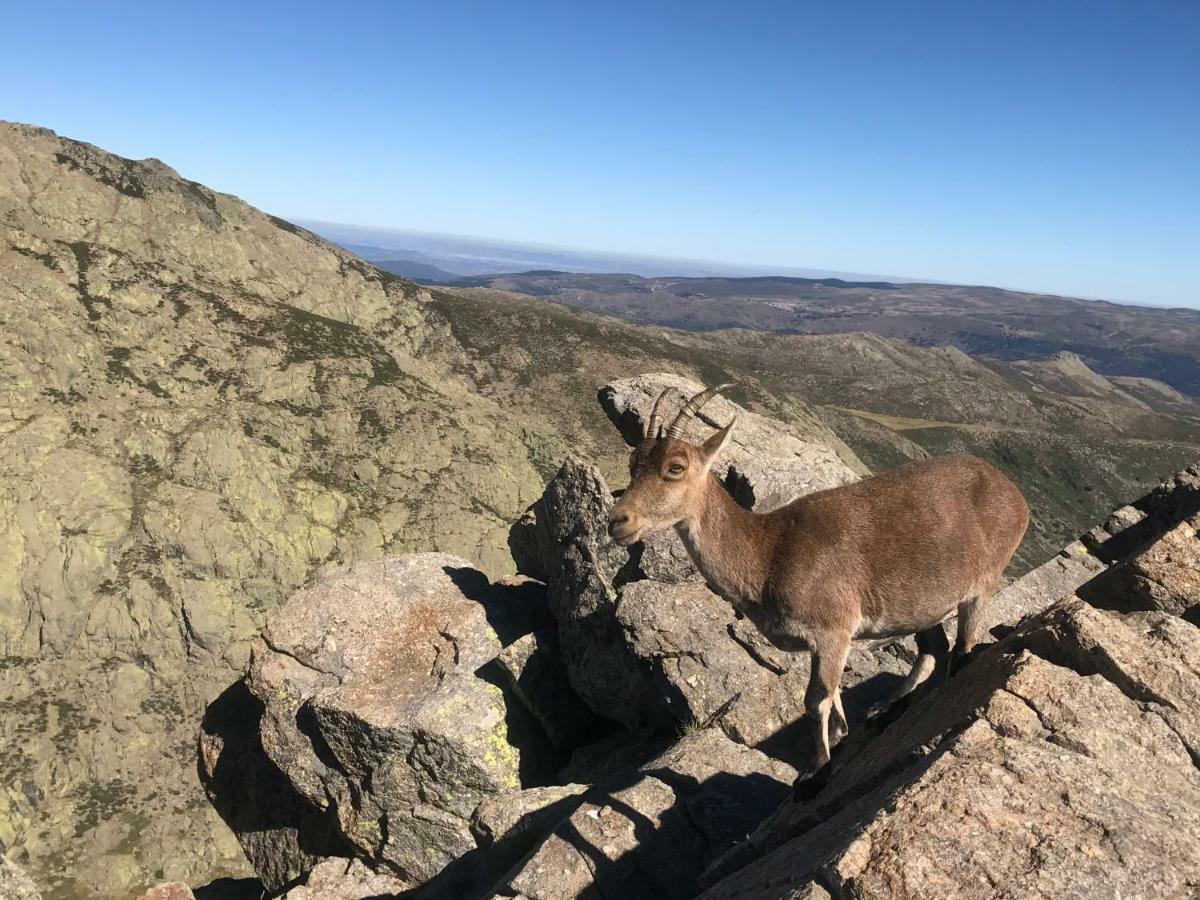 El Llano - El Hornillo, Tu Pueblo En La Sierra De Gredos. Villa Ngoại thất bức ảnh